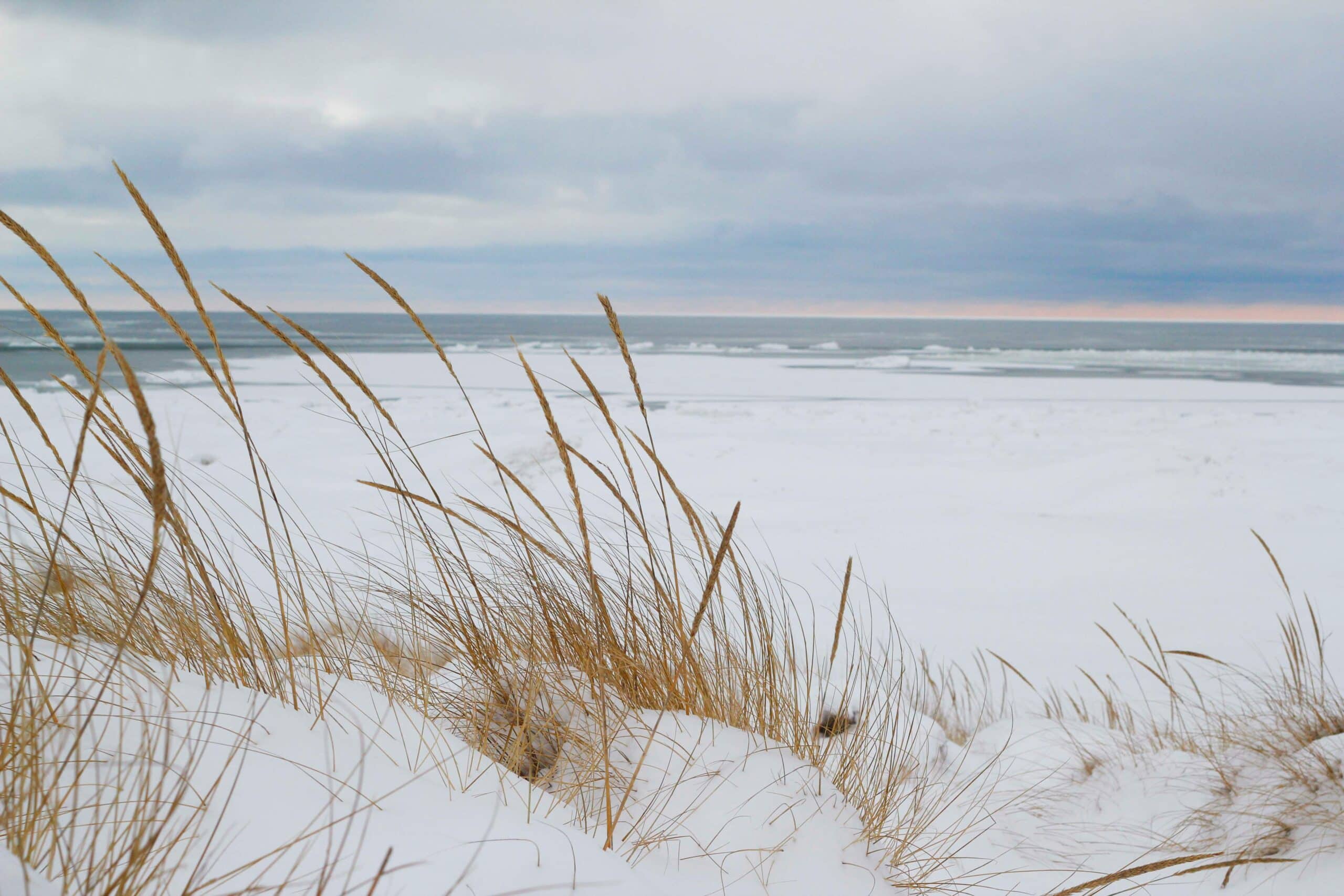 Strand im Winter