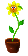 Blume00231.gif